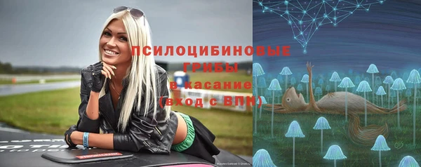 хмурый Пестово
