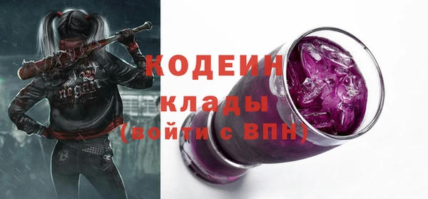 хмурый Пестово