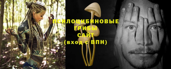 хмурый Пестово