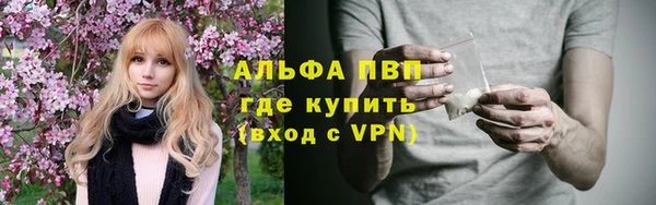 хмурый Пестово