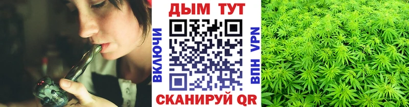 Бошки Шишки гибрид  Киренск 